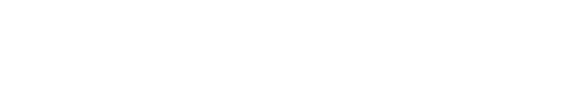 Rico Brunner logo